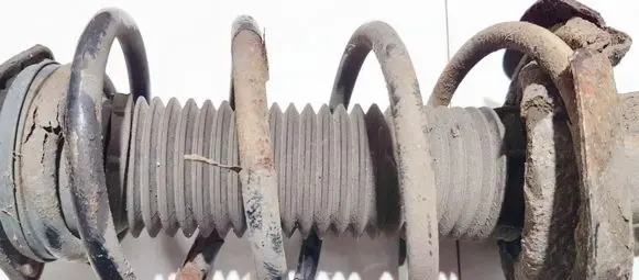 Ford Focus Front coil spring