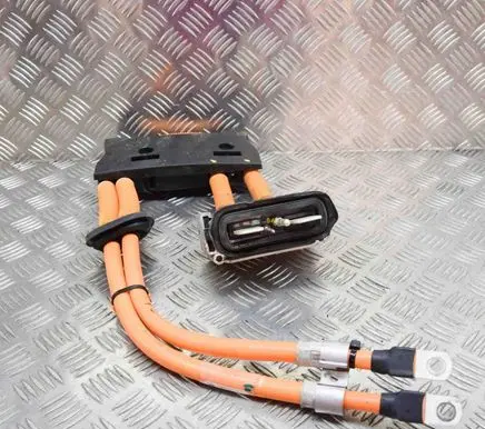 Tesla Model S Other wiring loom 100334700C