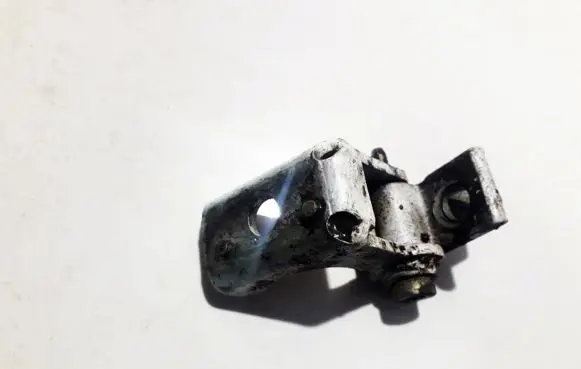 Peugeot 206 Rear door lower hinge