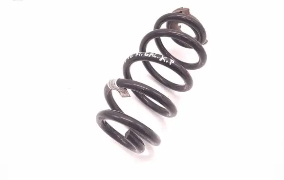 Rear coil spring