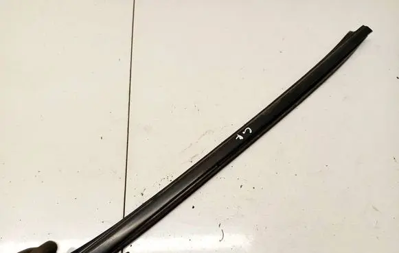 Volvo S60 Rubber seal rear door 