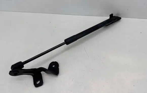 Tesla Model 3 Front bonnet/hood damper/strut 109147200B
