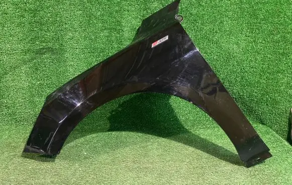 Ford Focus Fender