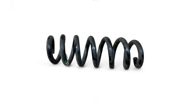 Rear coil spring