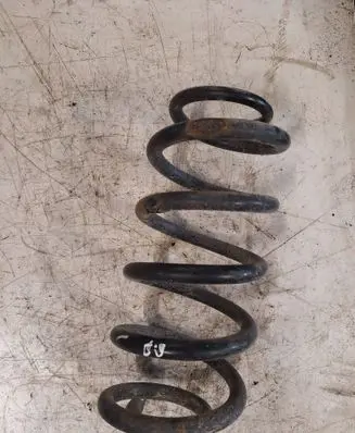 Rear coil spring