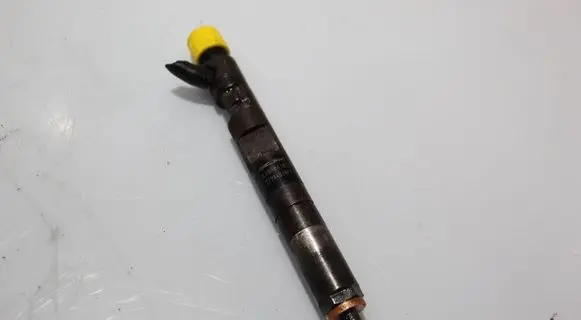 Renault Thalia I Fuel injector EJBR041010
