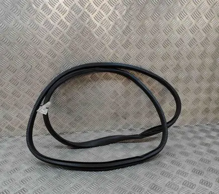 Renault Austral Rubber seal rear door 769233185R