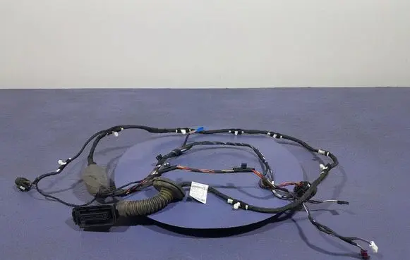 BMW X3 E83 Other wiring loom 5A49001
