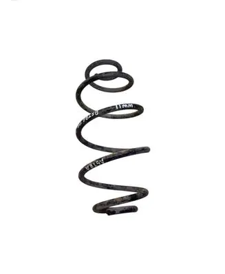 Rear coil spring