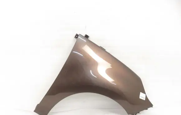 Renault Scenic III - Grand scenic III Fender 