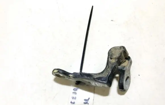 Ford Focus C-MAX Rear door lower hinge