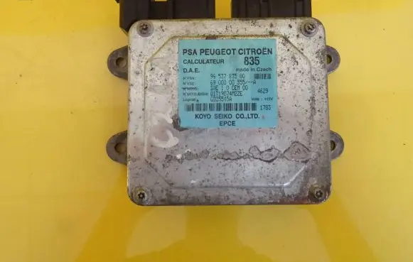 Citroen C2 Power steering control unit/module 9653783580 6900000555