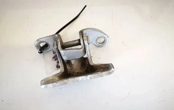 Rear door lower hinge