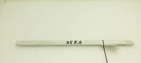 BMW X5 E70 Rear door trim (molding) 8036810 51138036810