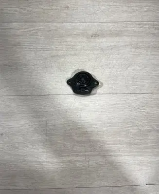 Tesla Model 3 Panel speaker 109873700b