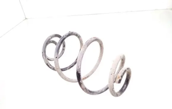 Opel Astra G Rear coil spring ST124010R