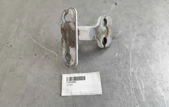 Rear door lower hinge