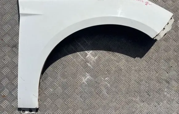 Ford Focus Fender