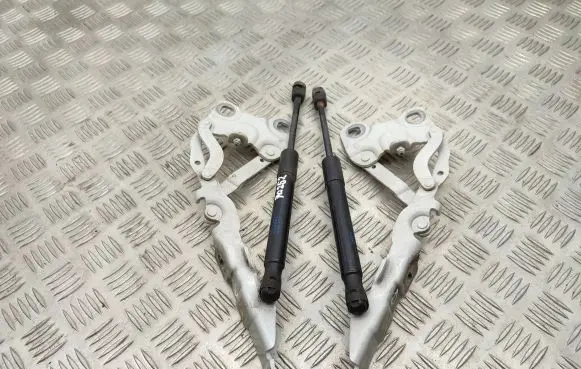 Mini Paceman (R61) Engine bonnet/hood hinges 9802054 9801570 9801569