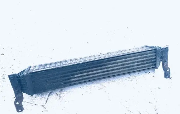 Volkswagen Sharan Intercooler radiator 7m3145805 1710078