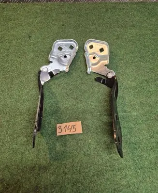 Tesla Model 3 Engine bonnet/hood hinges 109879300