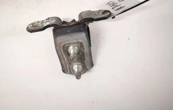Renault Laguna II Rear door lower hinge