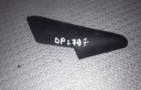 Other front door trim element