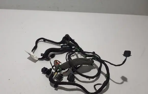 Porsche Panamera (971) Other wiring loom 971971122B