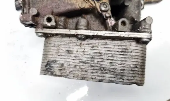Nissan Qashqai Engine oil radiator 