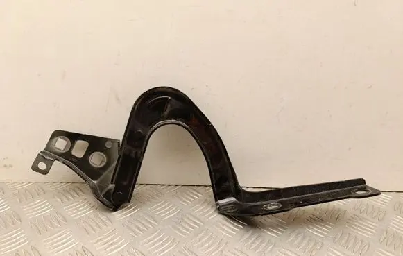 Tesla Model Y Engine bonnet/hood hinges 164119