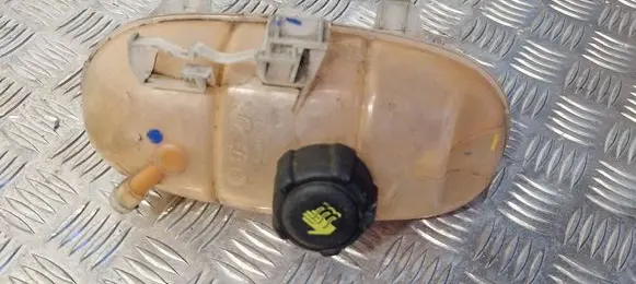 Renault Trafic II (X83) Coolant expansion tank/reservoir 217101893R