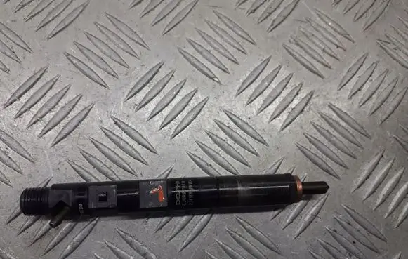 Renault Megane II Fuel injector EJBR05102D
