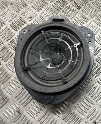 Rear door speaker