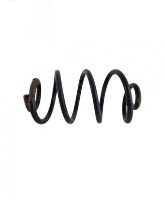 Rear coil spring