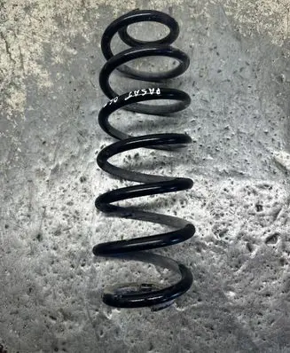 Volkswagen PASSAT B6 Rear coil spring