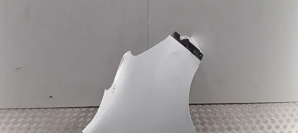 Renault Master III Fender