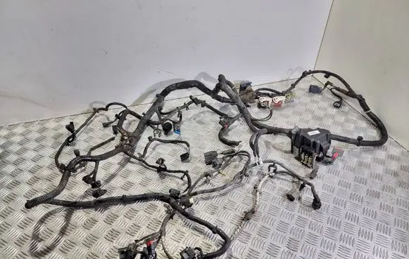 Engine installation wiring loom