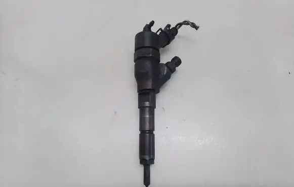 Peugeot 206 Fuel injector 0445110008