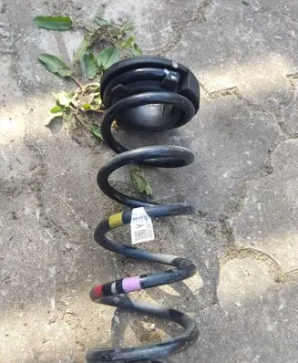 Rear coil spring