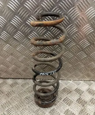 Rear coil spring