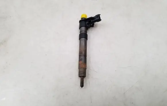 Citroen C5 Fuel injector 9687454380