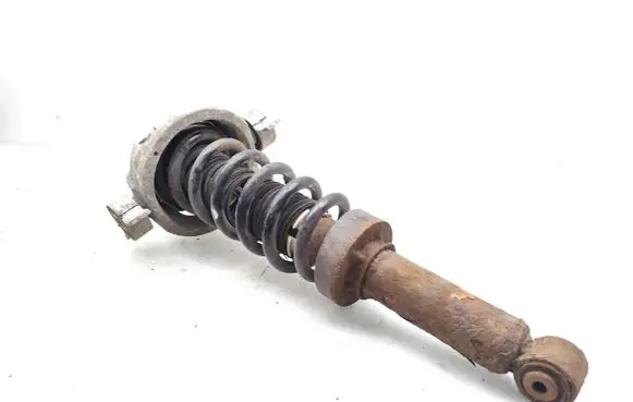 Porsche Cayenne (9PA) Rear shock absorber with coil spring 7L0512345