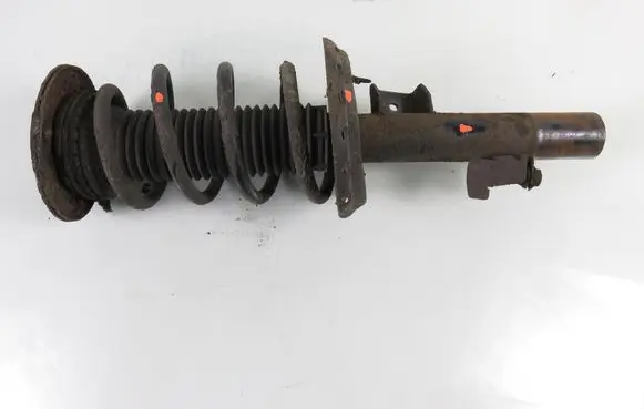 Ford S-MAX Front shock absorber with coil spring 