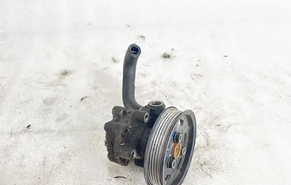 Volkswagen Sharan Power steering pump 038145255