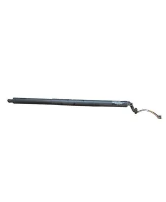 Ford Kuga II Tailgate/trunk strut/damper CV44S402A55AA