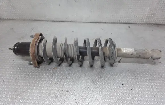 Dodge Journey Rear shock absorber with coil spring 