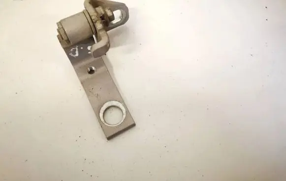 Ford Focus Rear door lower hinge