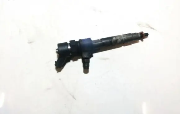Fiat Punto (188) Fuel injector 0445110019 1111112808505