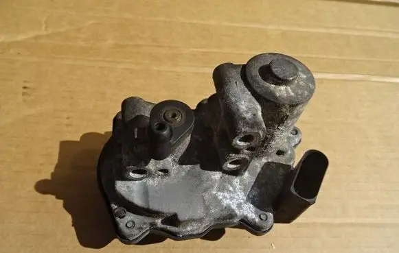 Volkswagen Golf V Intake manifold valve actuator/motor 06F133482