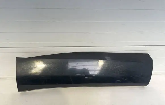 Renault Austral Rear door trim (molding) 828206725R